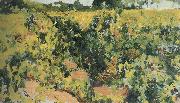 Vineyard Joaquin Sorolla